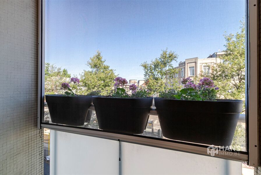 Appartement te koop in ANTWERPEN