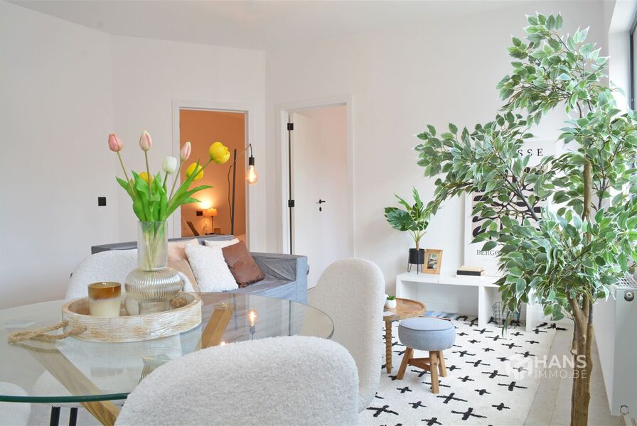 Appartement te koop in EDEGEM