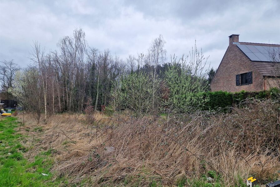 Bouwgrond te koop in SINT-KATELIJNE-WAVER