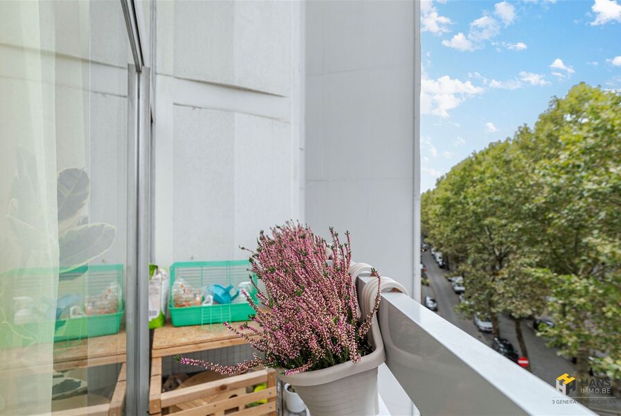 Duplex / Triplex te koop in ANTWERPEN