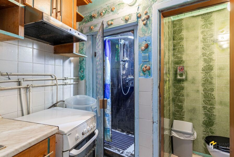 Eengezins woning te koop in BORGERHOUT