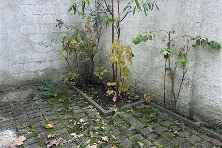 Gelijkvloers te huur in DEURNE