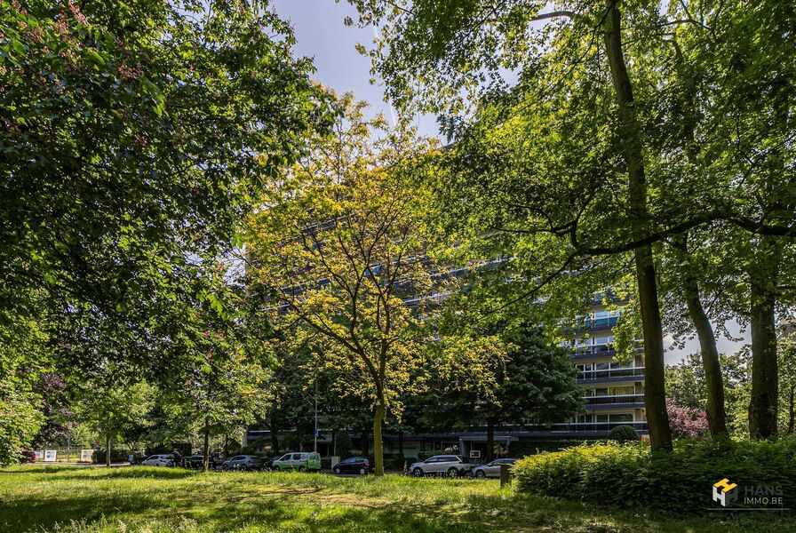 Handelsruimte te koop in BERCHEM