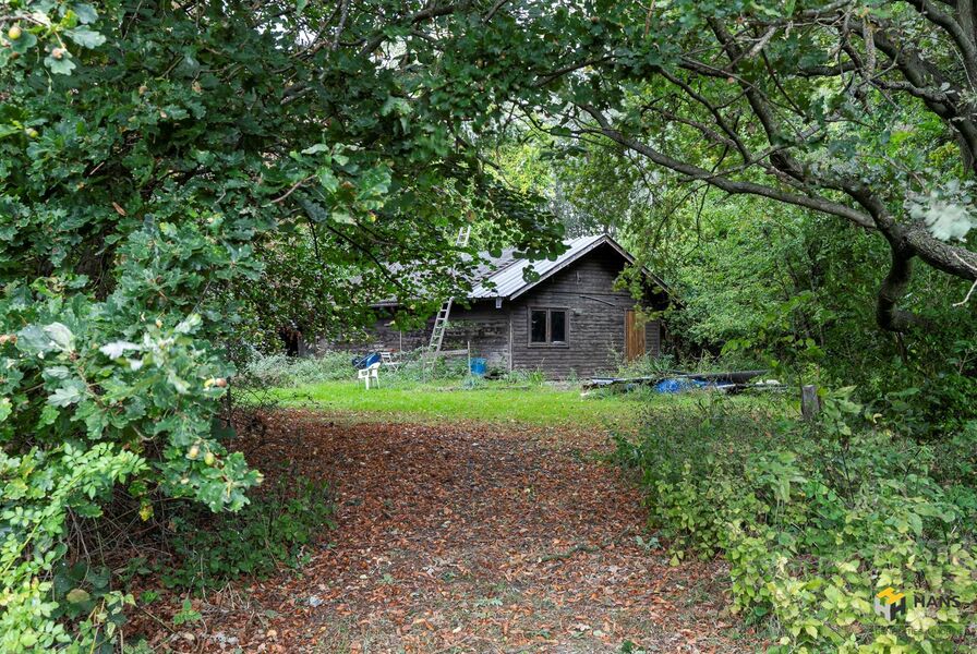 Landbouwgrond te koop in RANST