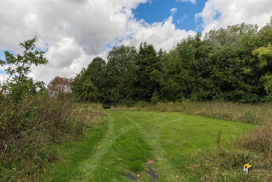 Landbouwgrond te koop in RANST