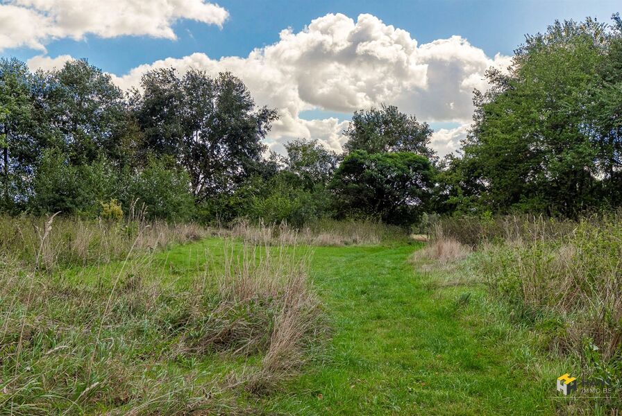 Landbouwgrond te koop in RANST