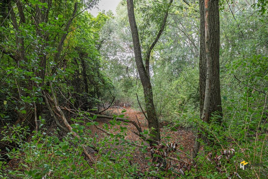 Landbouwgrond te koop in RANST