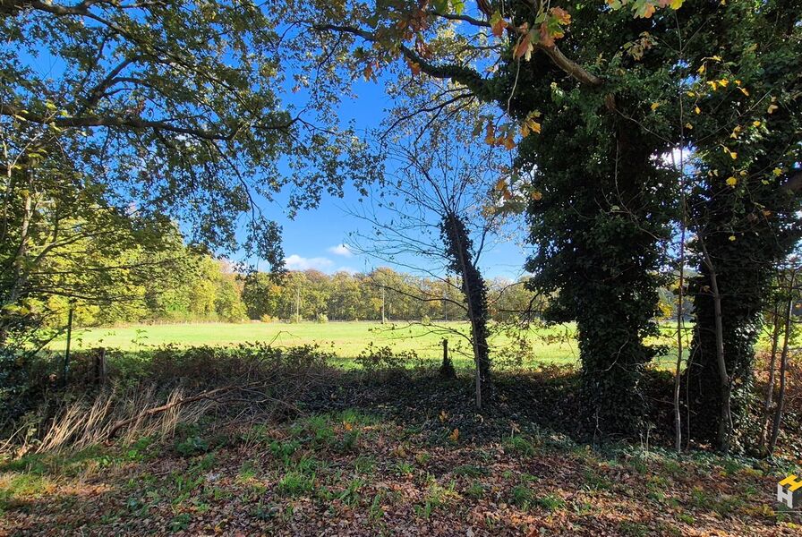 Woning te huur in HOEVENEN